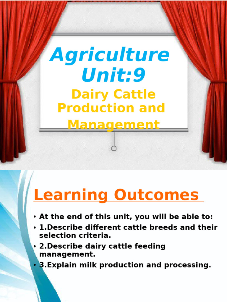 Dairy Cattle Production Overview | PDF | Dairy Cattle | Cattle