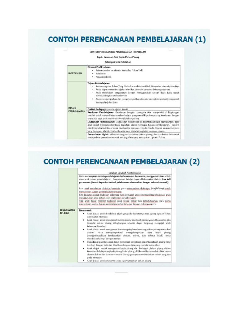 RPP Paud | PDF