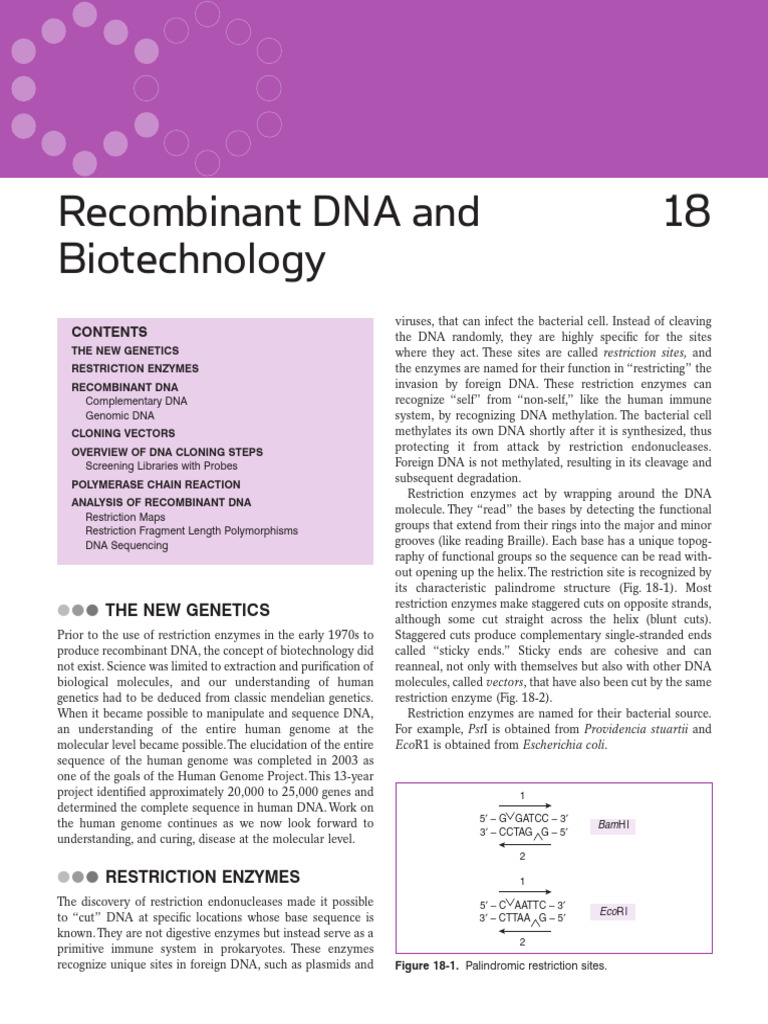 DNA Cloning and Restriction Enzymes | PDF | Plasmid | Molecular Cloning