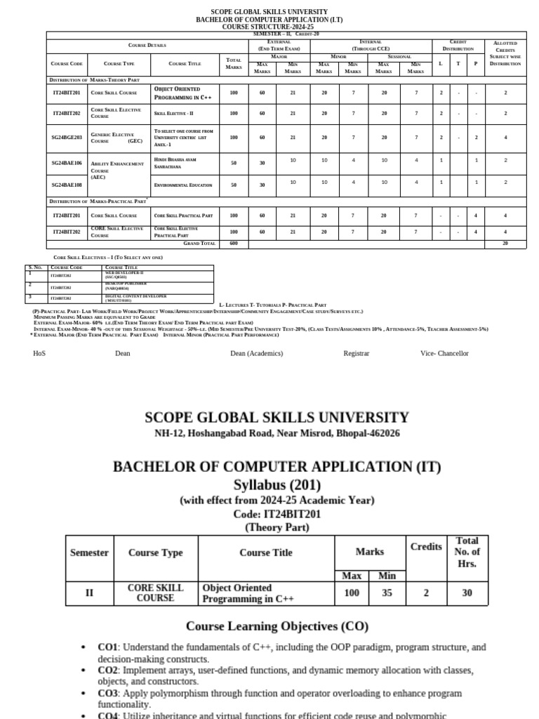 BCA IT Course Structure 2024-25 | PDF | C++ | Constructor (Object ...