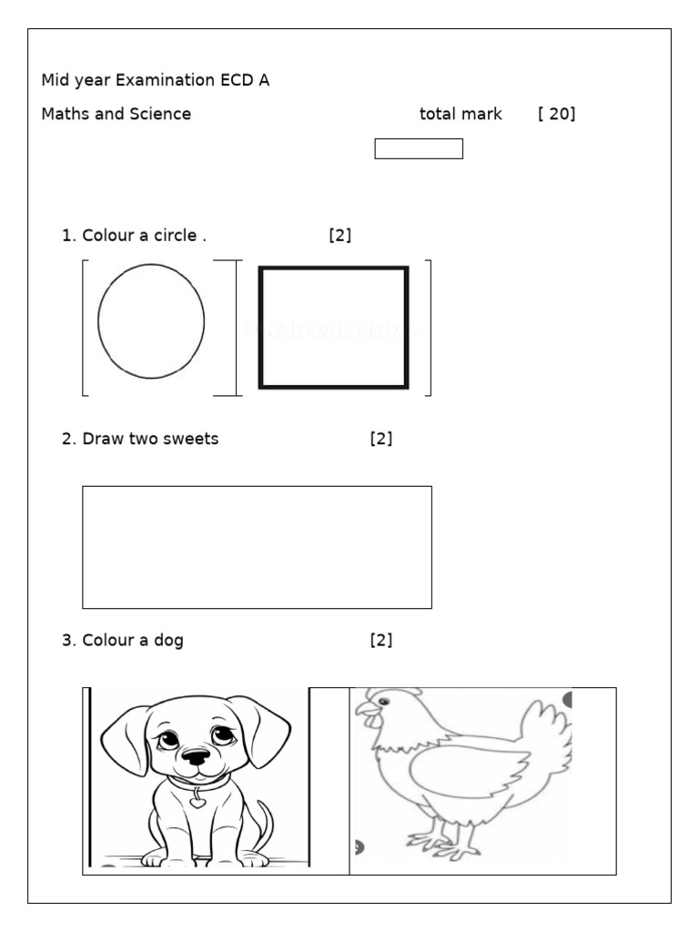 Ecd A Mathsandscience | PDF
