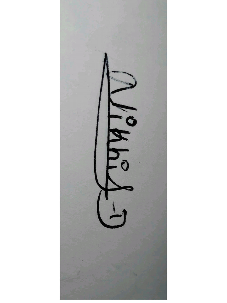 Signature 2 | PDF
