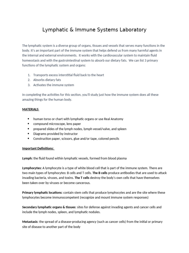 Lymphatic System Lab Overview | PDF | Lymphatic System | Lymph Node