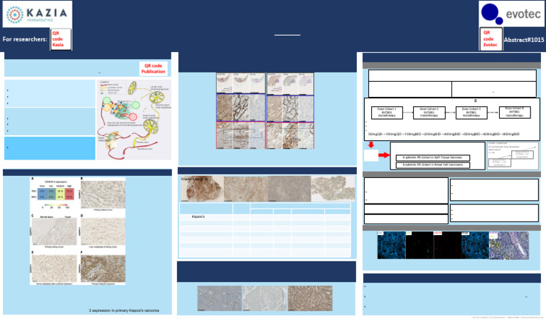 EVT801 Phase IClinical Trialposterpresentedat AACR23 | PDF | Cancer ...