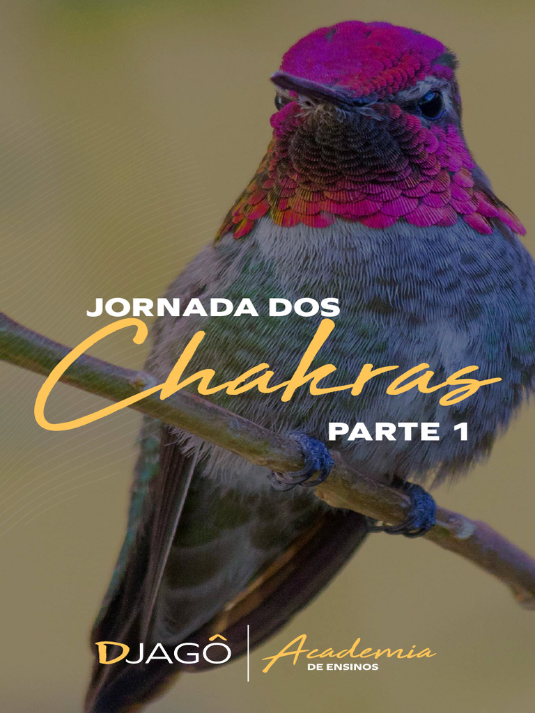 Entendendo os Chakras e sua Jornada | PDF | Chacra