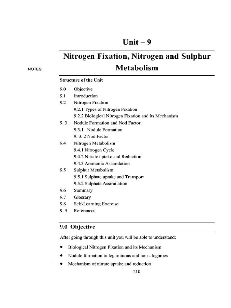 Nitrogen Fixation and Nitrogen Metabolism | PDF