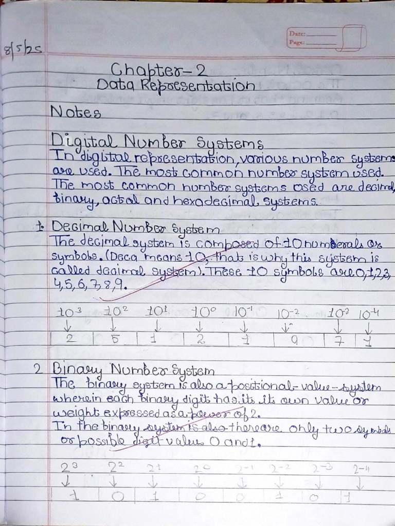 CS Chapter-2 Data Representation Notes | PDF