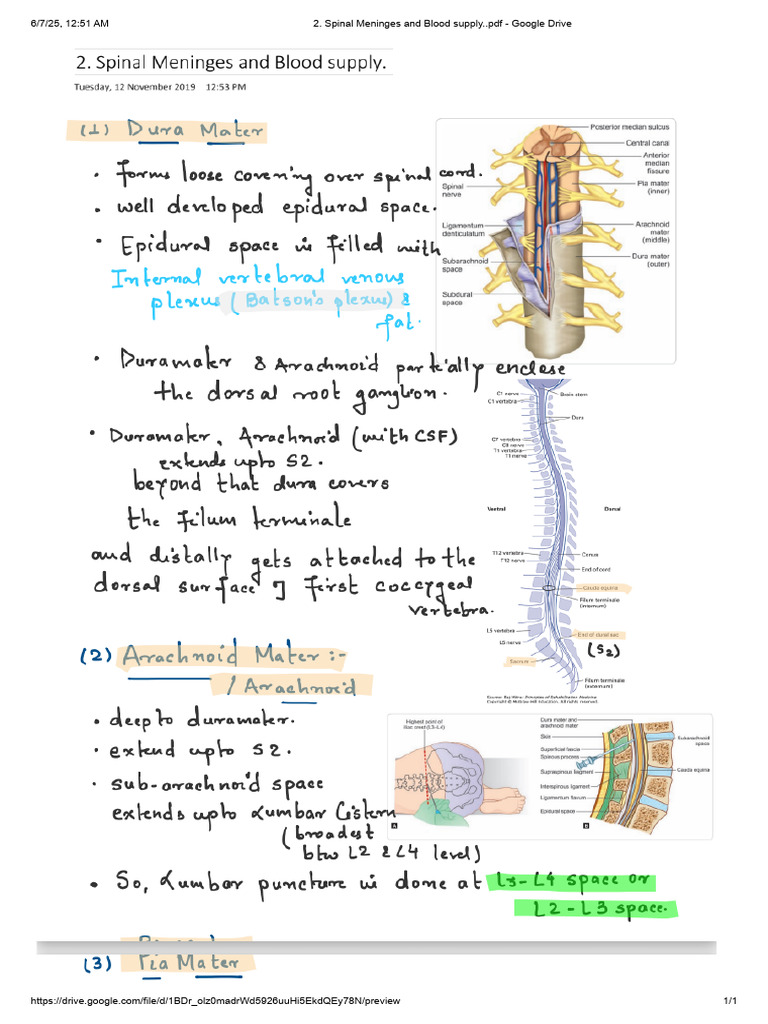 Spinal Meninges and Blood Supply Guide | PDF