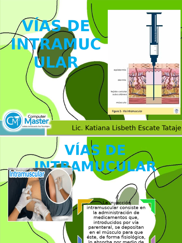 Via Intramuscular | PDF | Inyección (medicina) | Medicamentos con receta