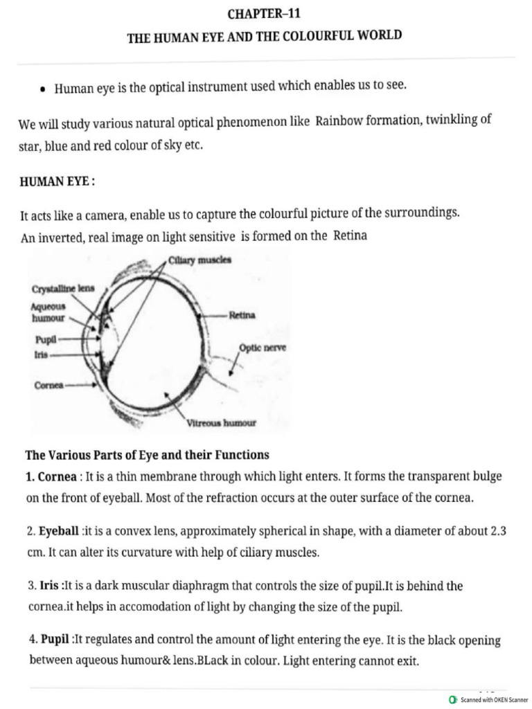 10 Science Notes 11 Human Eye and Colourful World 1 | PDF
