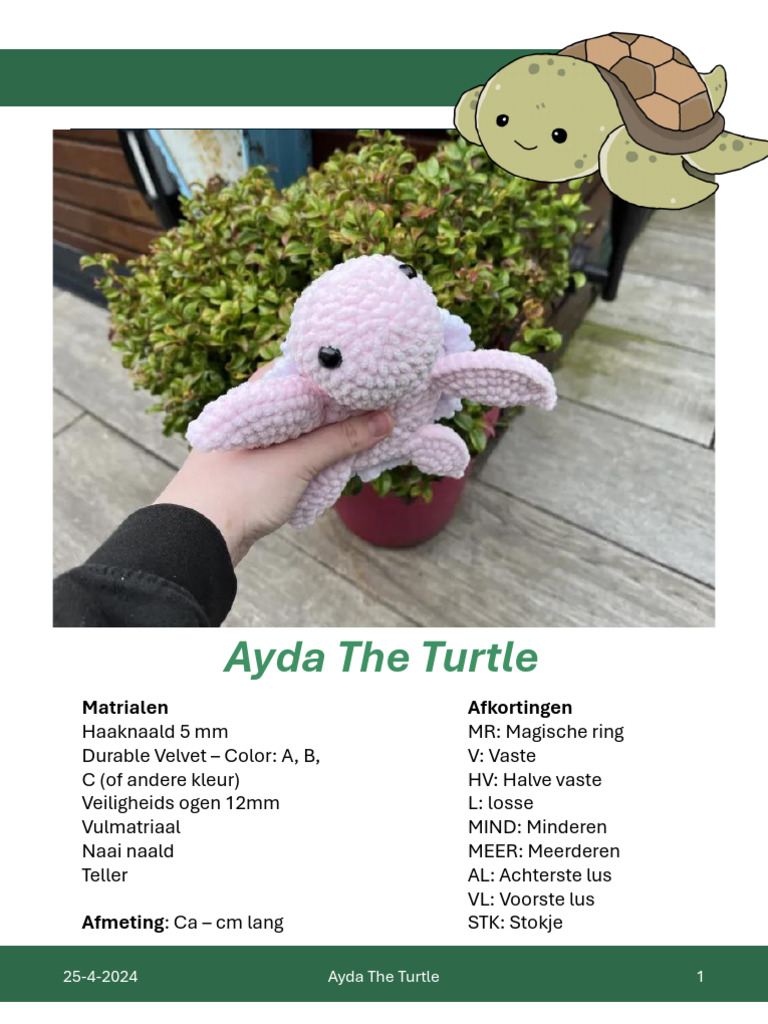 Ayda The Turtle | PDF