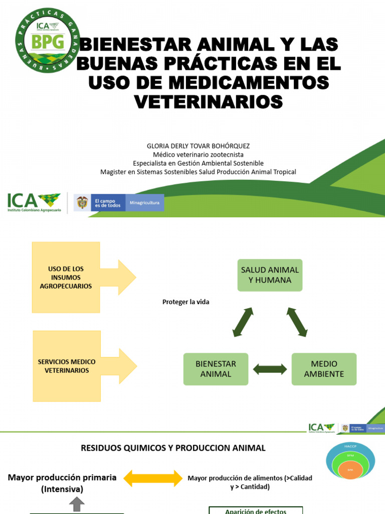 Bienestar Animal y Uso de Medicamentos Veterinarios BPG | PDF ...