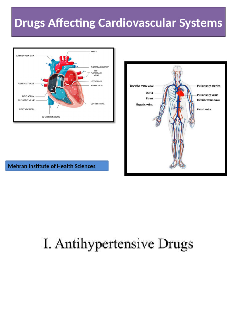 Drugs Affecting Cardiovascular System | PDF