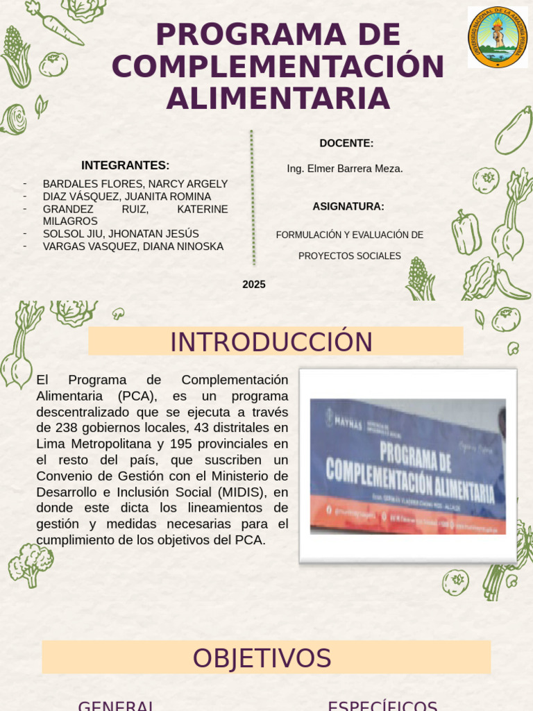 Programa de Complementación Alimentaria | PDF | Cuidado de la salud
