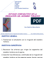 Irrigacion Miembro Toracico-Comparada