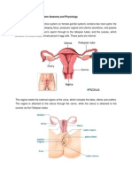 Female Reproductive System Anatomy and Physiology