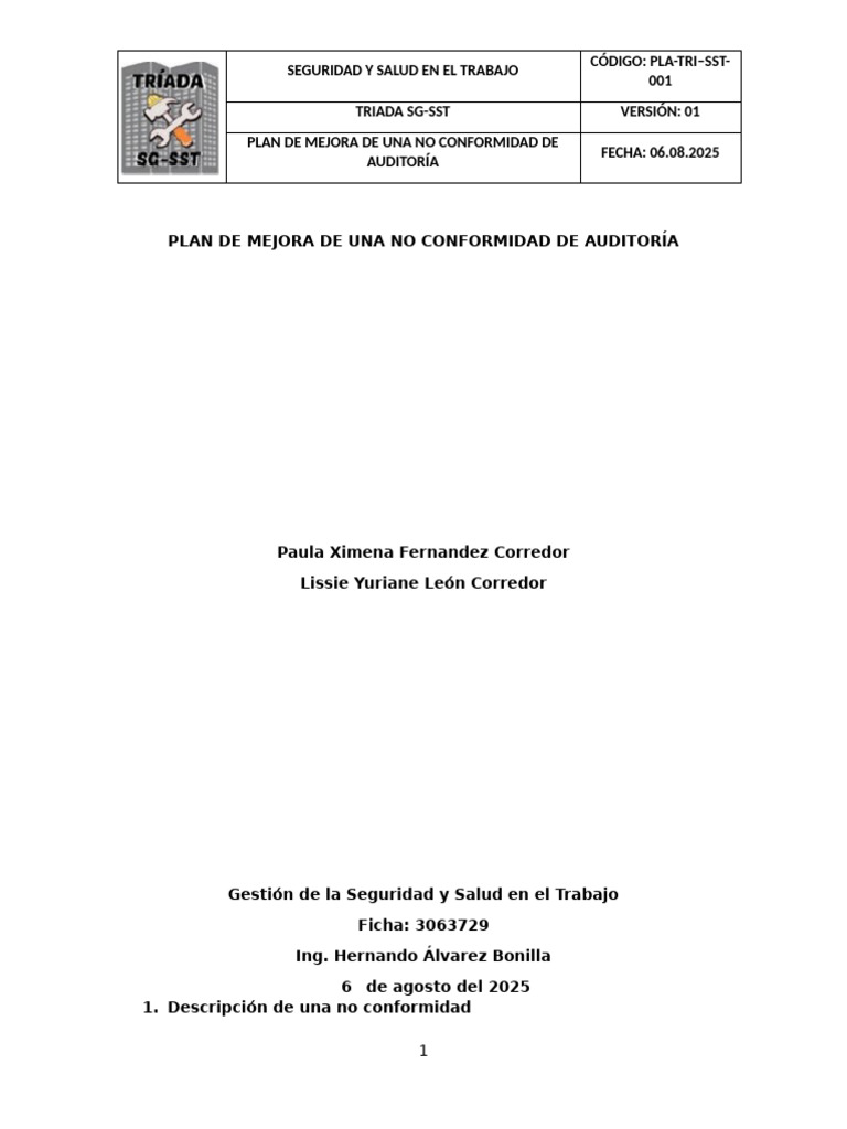 Plan de Mejora en Seguridad Laboral | PDF | Auditoría | Business
