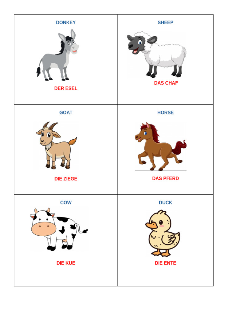 Donkey | PDF