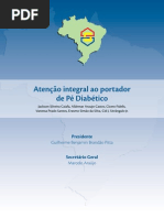 Manual Do Pe Diabetico Final