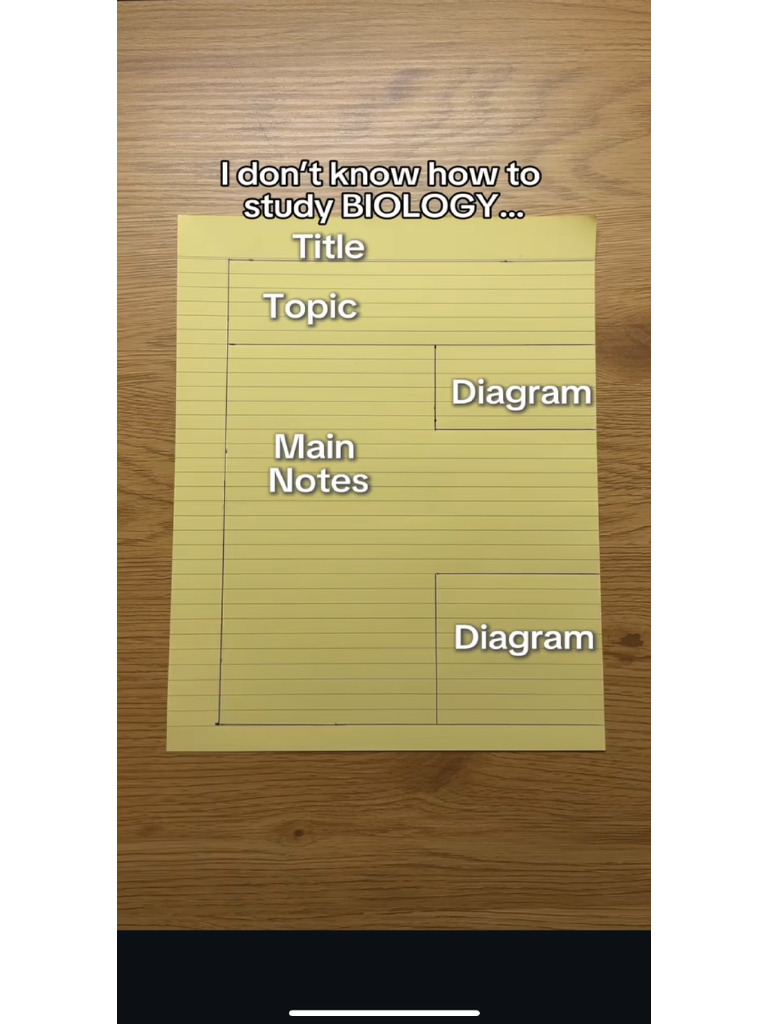 How To Make Notes | PDF
