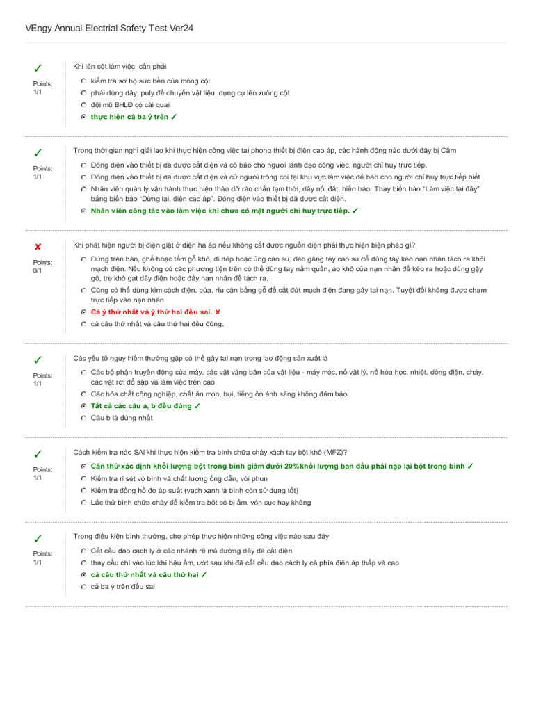 Vengy Annual Electrial Safety Test Ver24: Points: 1/1 | PDF