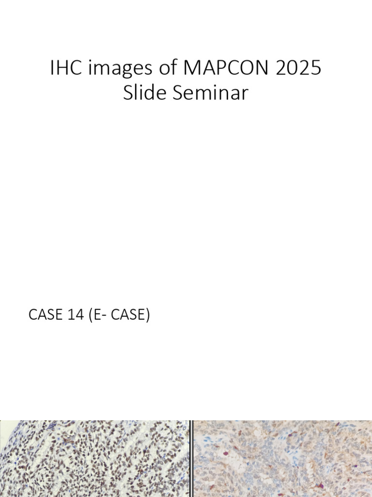 MAPCON 2025 IHC Images - E Cases | PDF