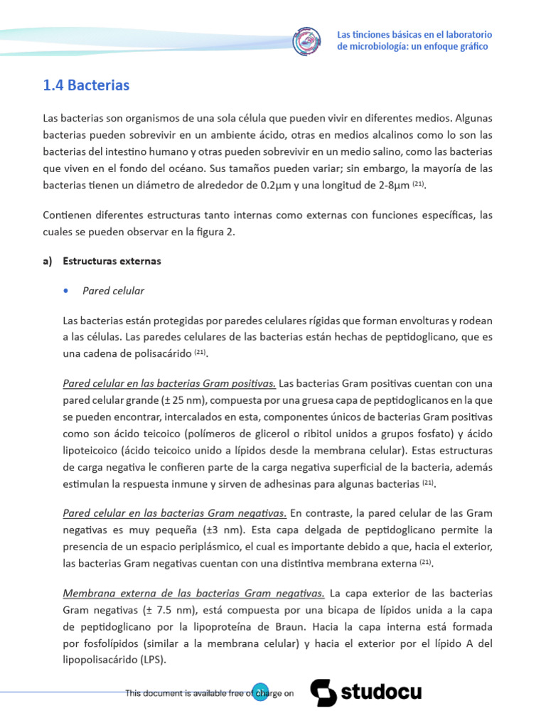 Composición y Estructura de Bacterias | PDF | Las bacterias | Bacterias ...