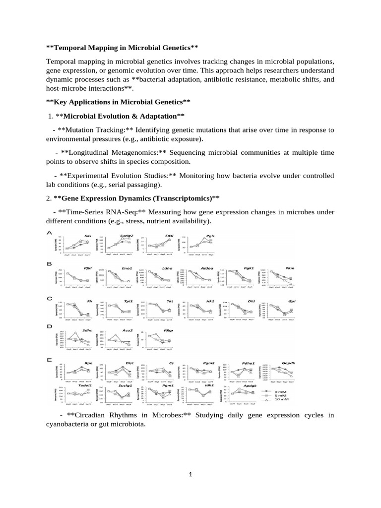 27.3.25 Temporal Mapping | PDF | Microbiota | Biofilm