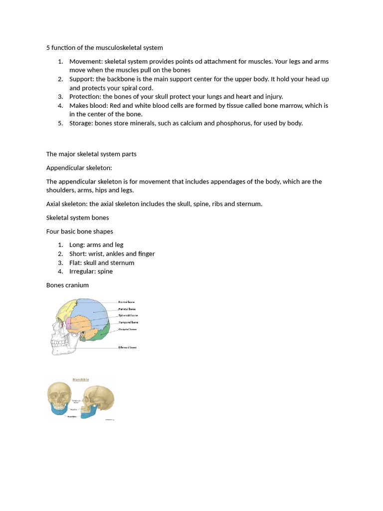5 Function of The Musculoskeletal System | PDF | Skeleton | Bone