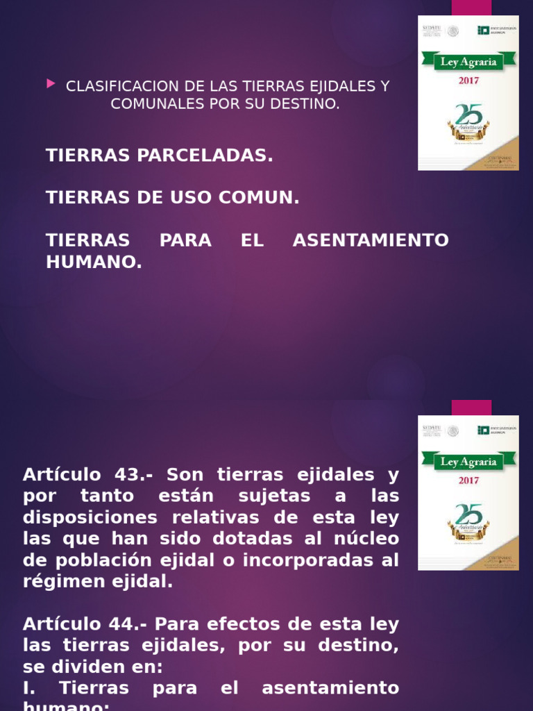 Tierras Por Su Destino 8 | PDF | Propiedad