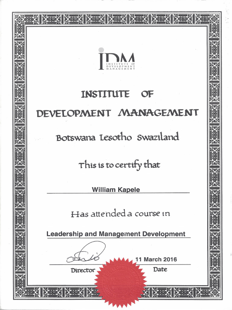 IDM Leadership Course 2016 | PDF