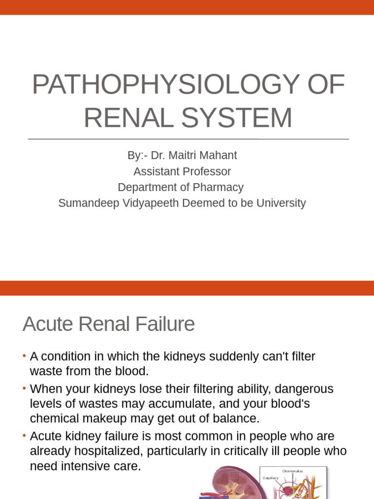 Acute and Chronic Renal Failure Overview | PDF | Kidney | Chronic ...
