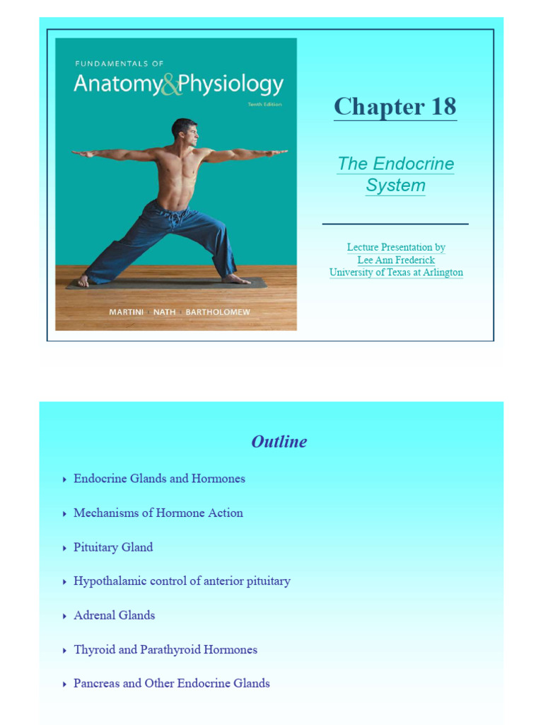 Overview of the Endocrine System | PDF | Endocrine System | Hormone