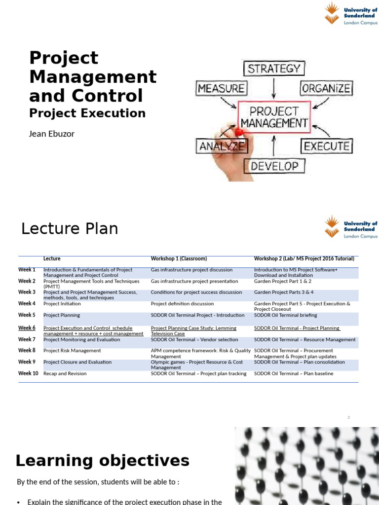 Project Management Execution Guide | PDF | Risk Management | Project ...
