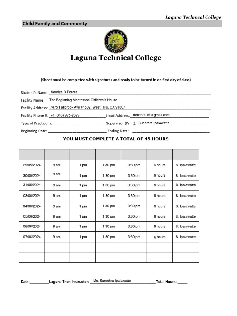 2019 Child Family & Comm. Practicum Form | PDF