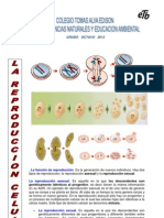 Taller de Repaso Grado 8