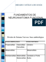 Neuroanatomia Completa