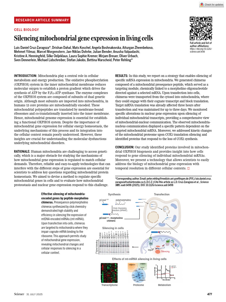 Silencing Mitochondrial Gene Expression | PDF | Mitochondrion ...