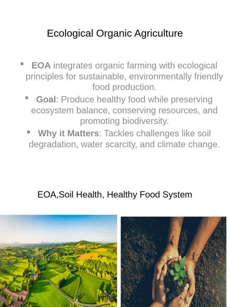 Ecological Organic Agriculture Principles | PDF