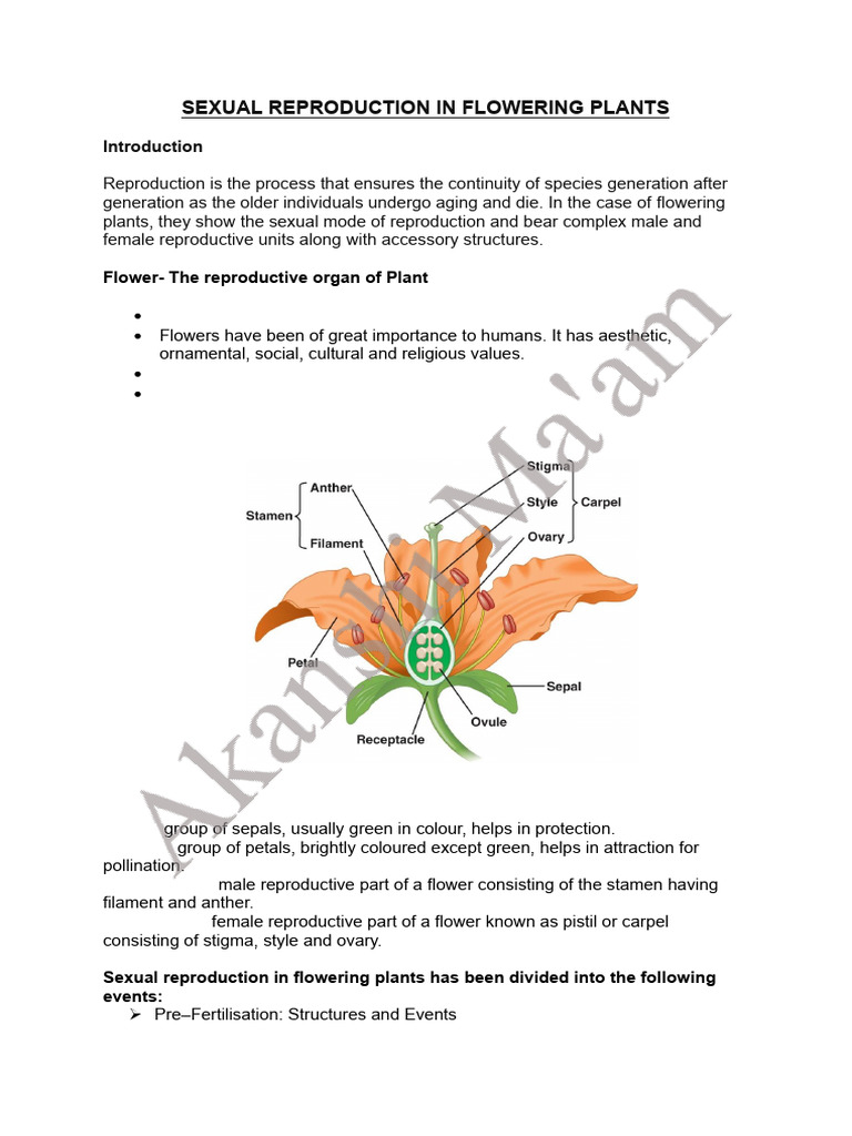 Sexual Reproduction in Angiosperms | PDF | Flowers | Seed