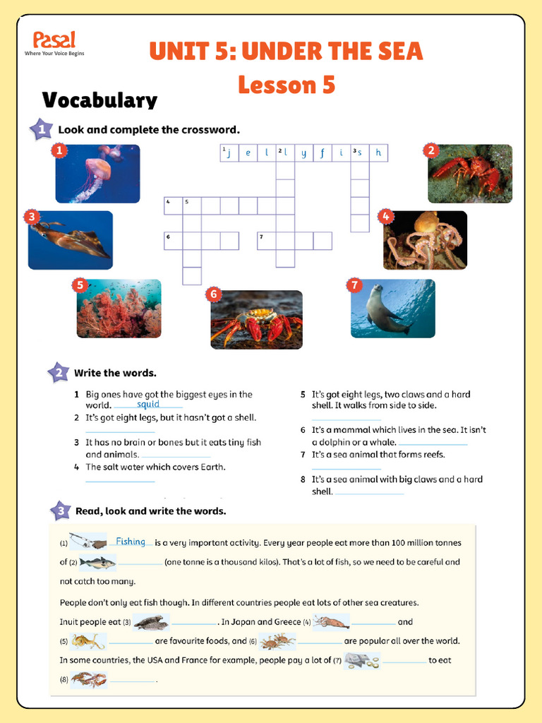 Handout Lesson 5 Unit 6 | PDF