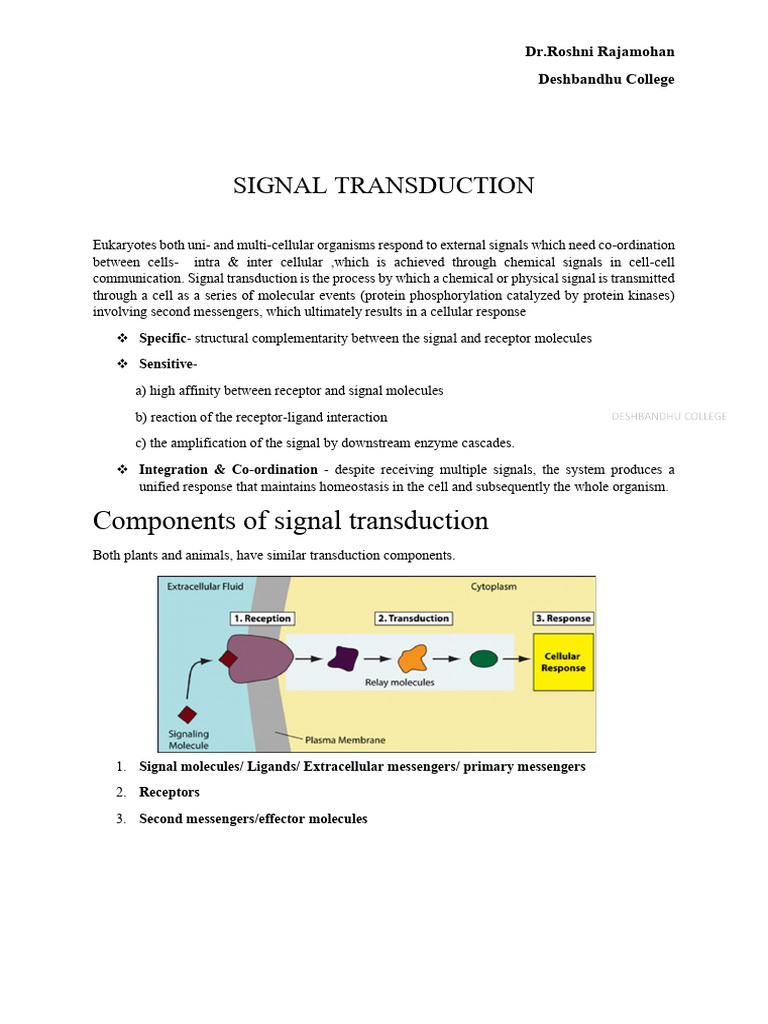 Components of Signal Transduction | PDF | Cell Signaling | Signal ...