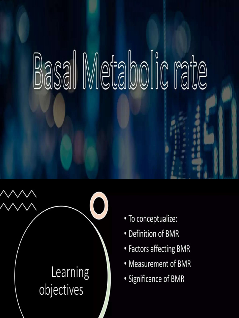 BMR | PDF