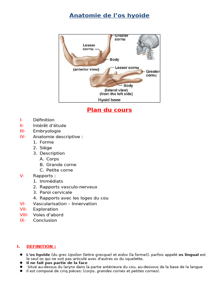 Anatomie de l'os hyoïde | PDF | Cou | Système squelettique