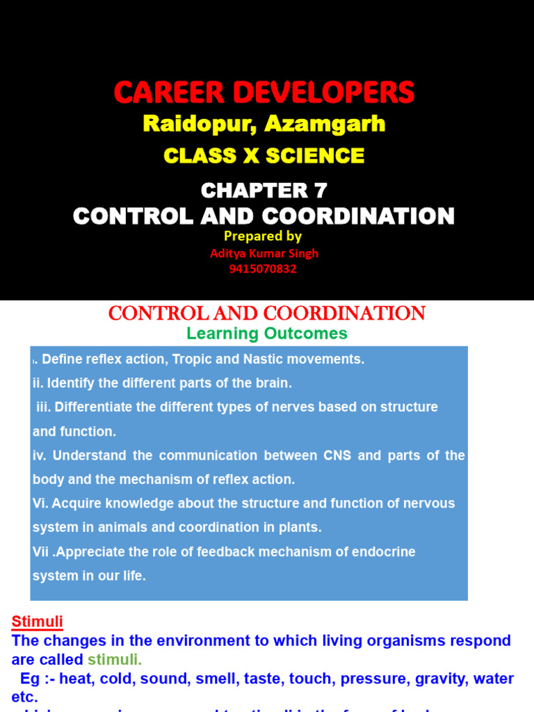 Control and Coordination in Biology | PDF | Neuron | Nerve