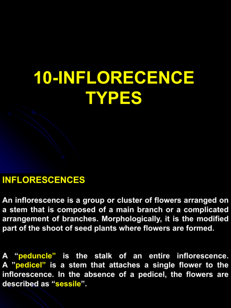 Types and Examples of Inflorescence | PDF | Plants | Plant Reproduction