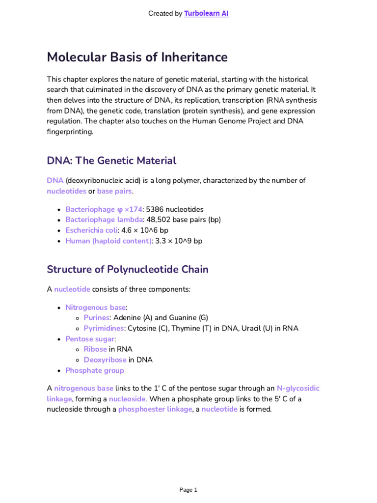DNA Structure and Function Explained | PDF | Rna | Operon
