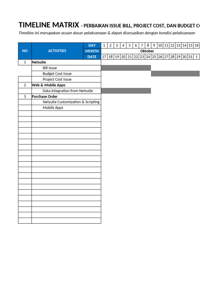 Timeline for Project Cost Issues | PDF