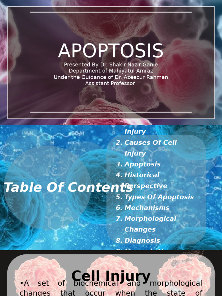 Apoptosis, Programmed Cell Death | PDF | Apoptosis | Cellular Processes