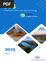 Cronograma DDS Junho 2025 | PDF
